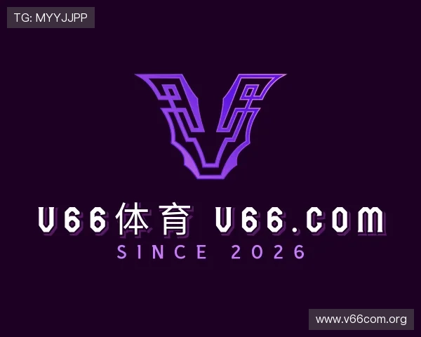 导引v66体育 v66.com